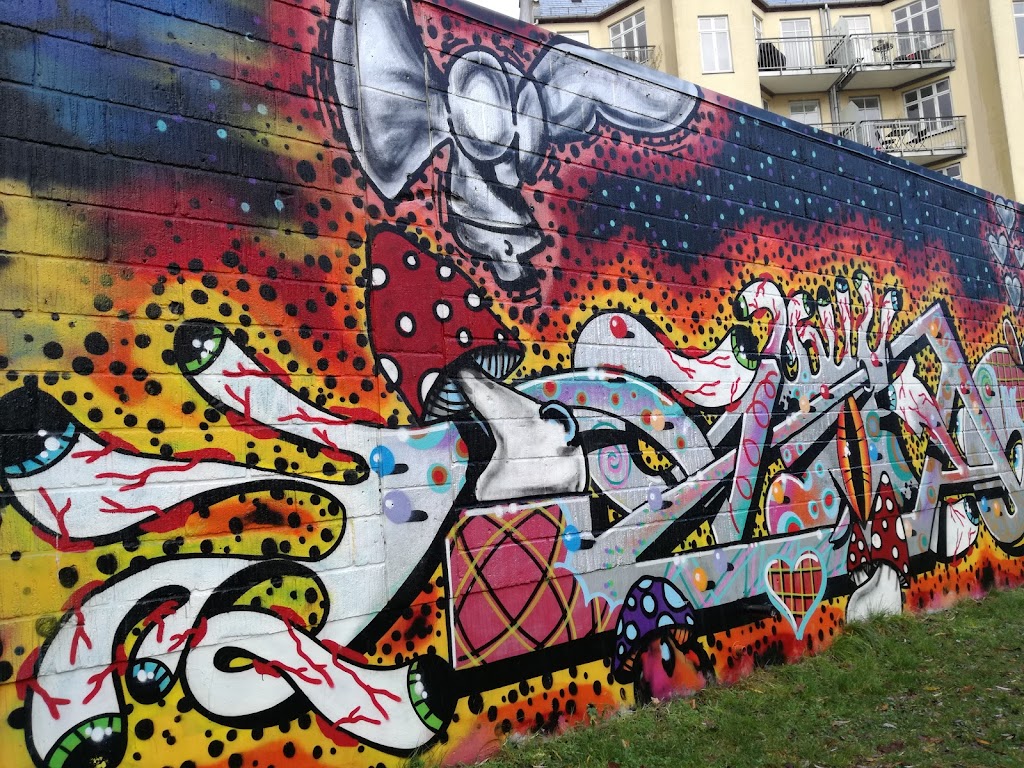 norrebro-skatepark-2.jpeg