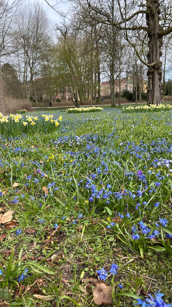 frederiksberg-have-legeplads-7.jpeg