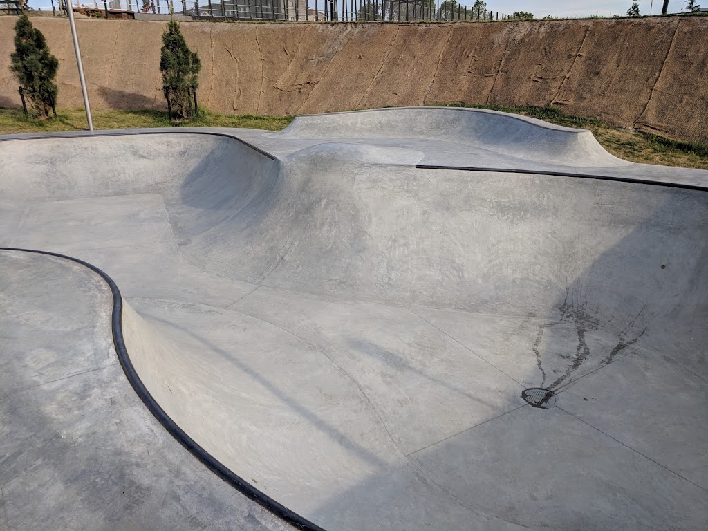 mini-skate-bowl-9.jpeg