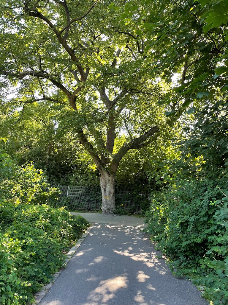 the-green-path-on-frederiksberg-6.jpeg