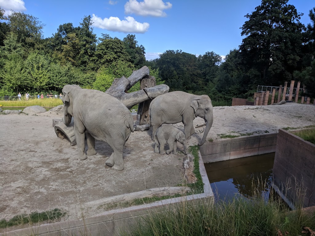 zoologisk-have-roskildevej-13.jpeg