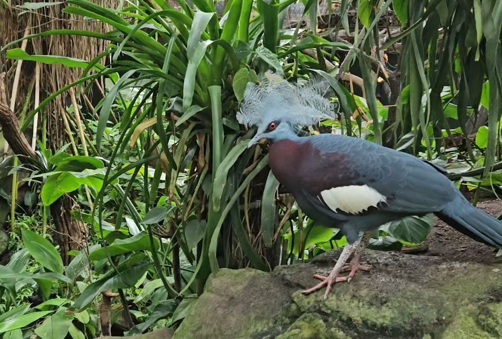 zoologisk-have-roskildevej-5.jpeg