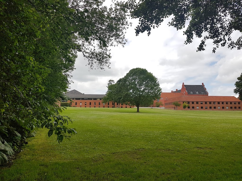 herlufsholm-kostskole-herlufsholm-alle-14.jpeg