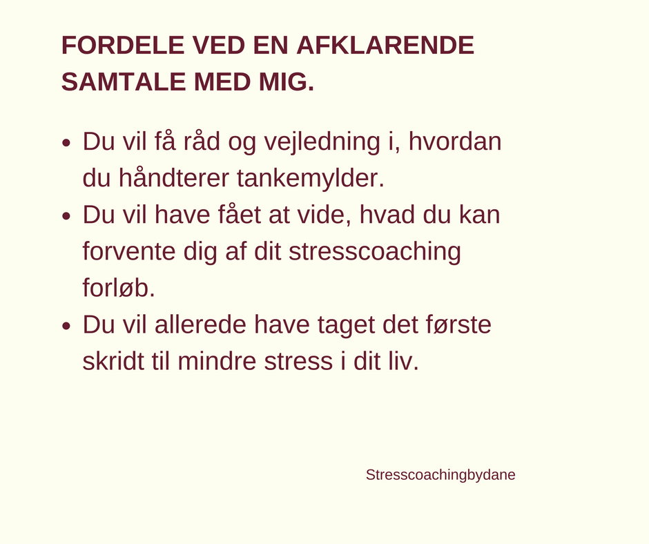 coachingbydane-ved-jim-dane-ledercoach-l-mentaltraener-12.jpeg