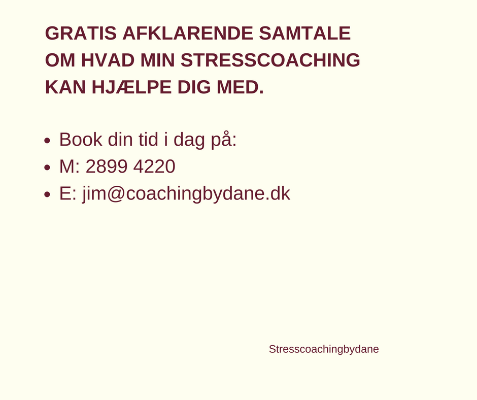 coachingbydane-ved-jim-dane-ledercoach-l-mentaltraener-4.jpeg