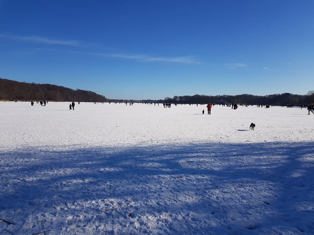 bagsvaerd-rostadion-4.jpeg