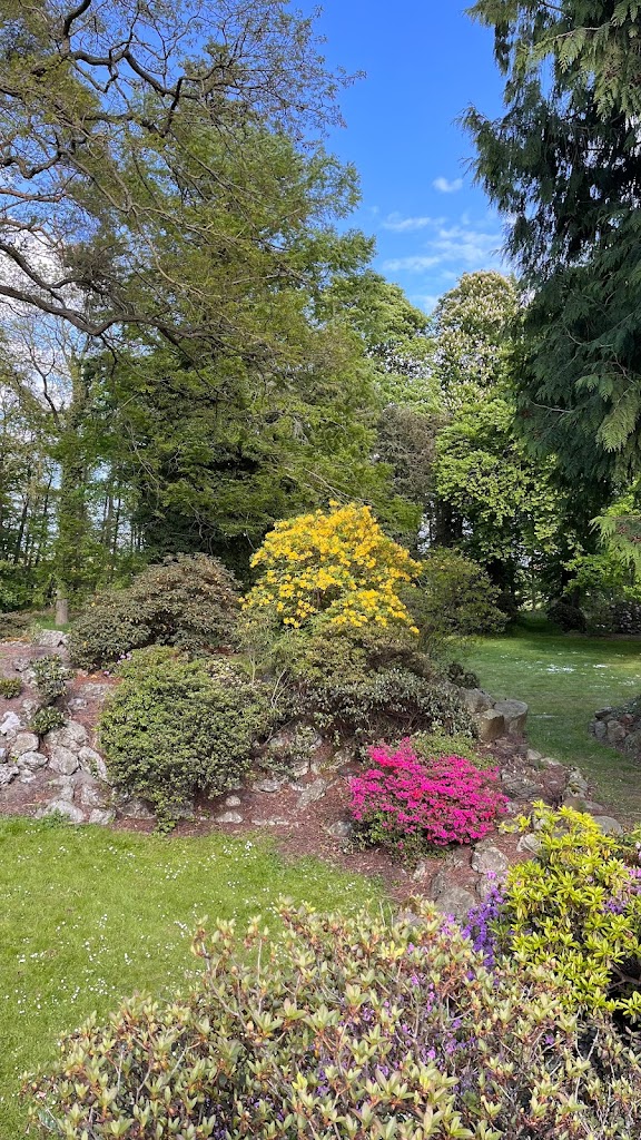 rhododendronparken-3.jpeg