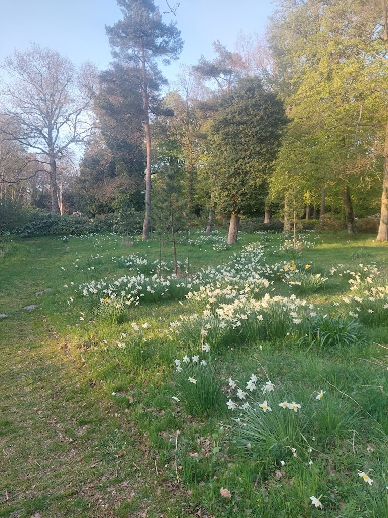 rhododendronparken-6.jpeg