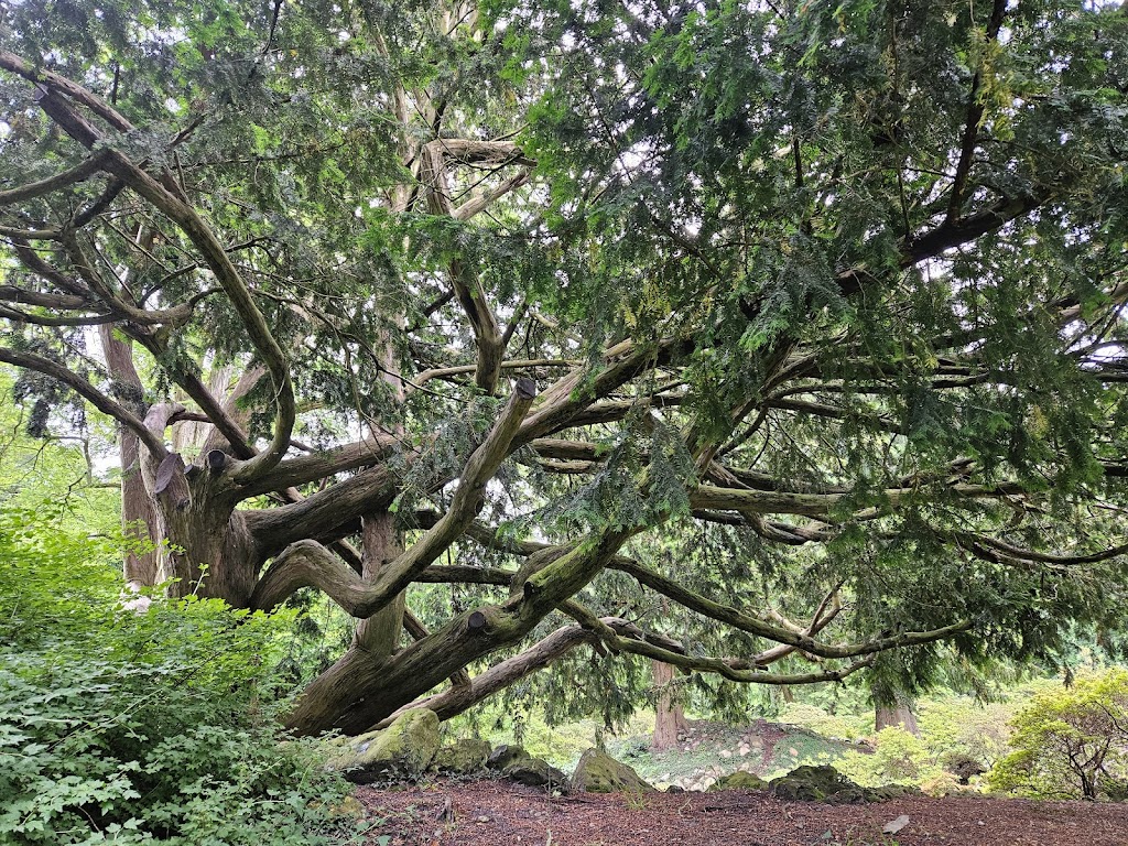 rhododendronparken-9.jpeg