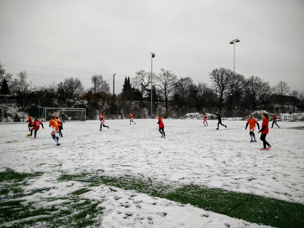 bagsvaerd-stadion-1.jpeg