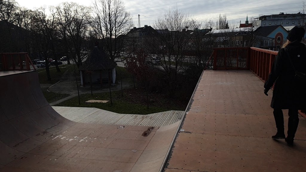 faelledparken-skate-park-10.jpeg