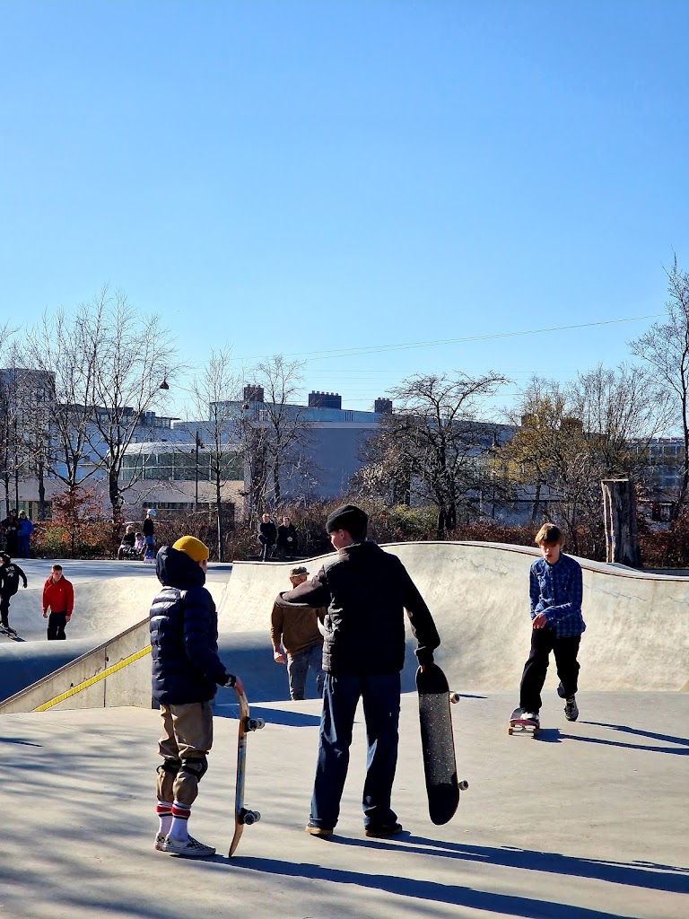 faelledparken-skate-park-7.jpeg