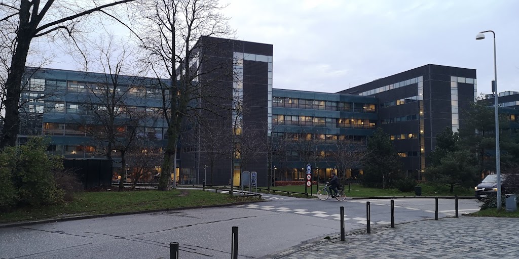 copenhagen-business-school-kilen-4.jpeg