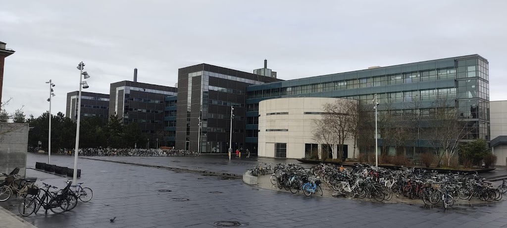 copenhagen-business-school-kilen-8.jpeg