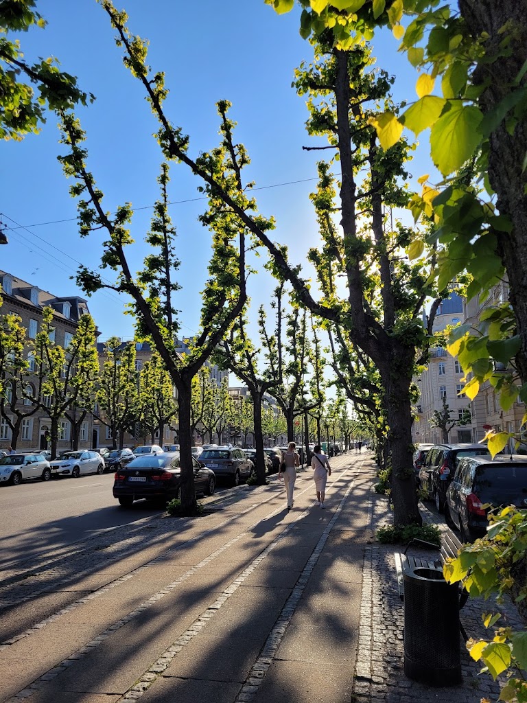 frederiksberg-alle-mynstersvej-0.jpeg