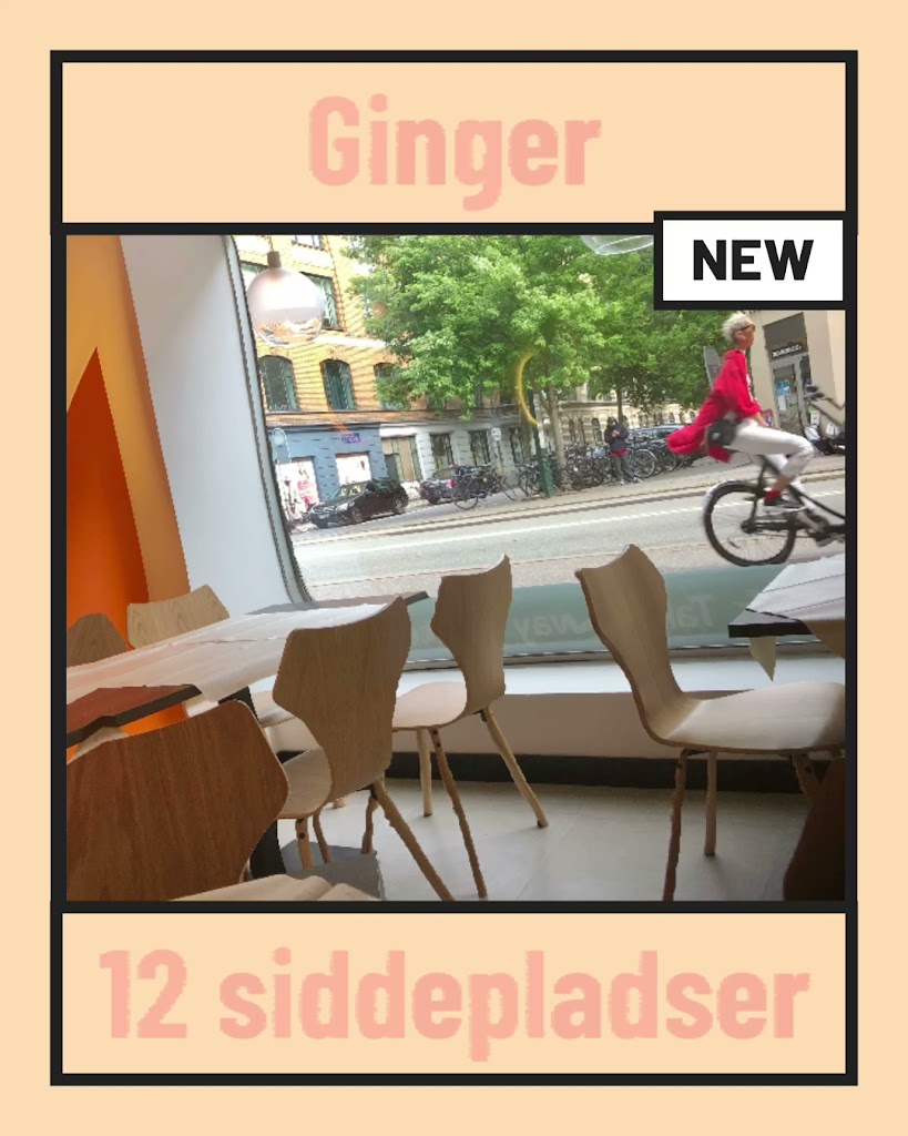 ginger-indian-take-away-6.jpeg