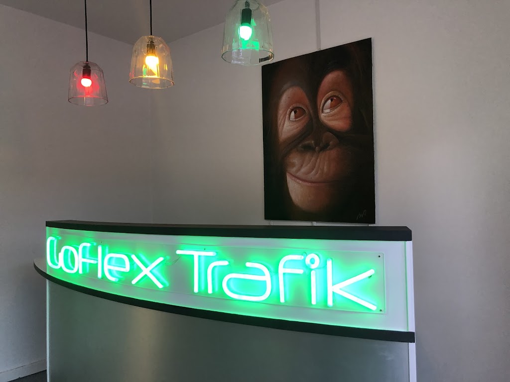 goflex-trafik-5.jpeg