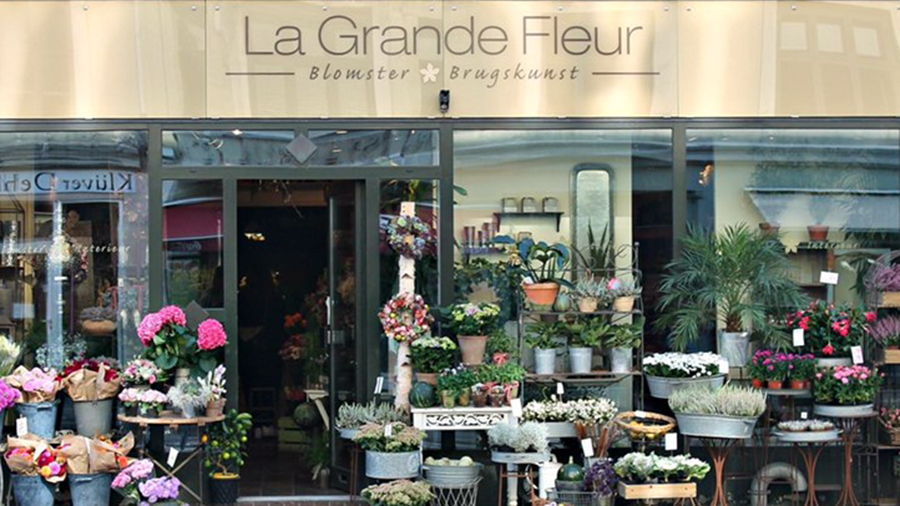 la-grande-fleur-12.jpeg