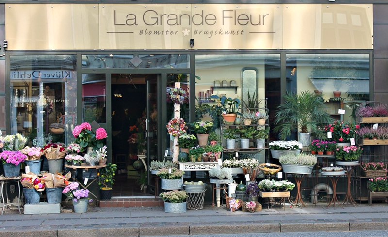 la-grande-fleur-15.jpeg