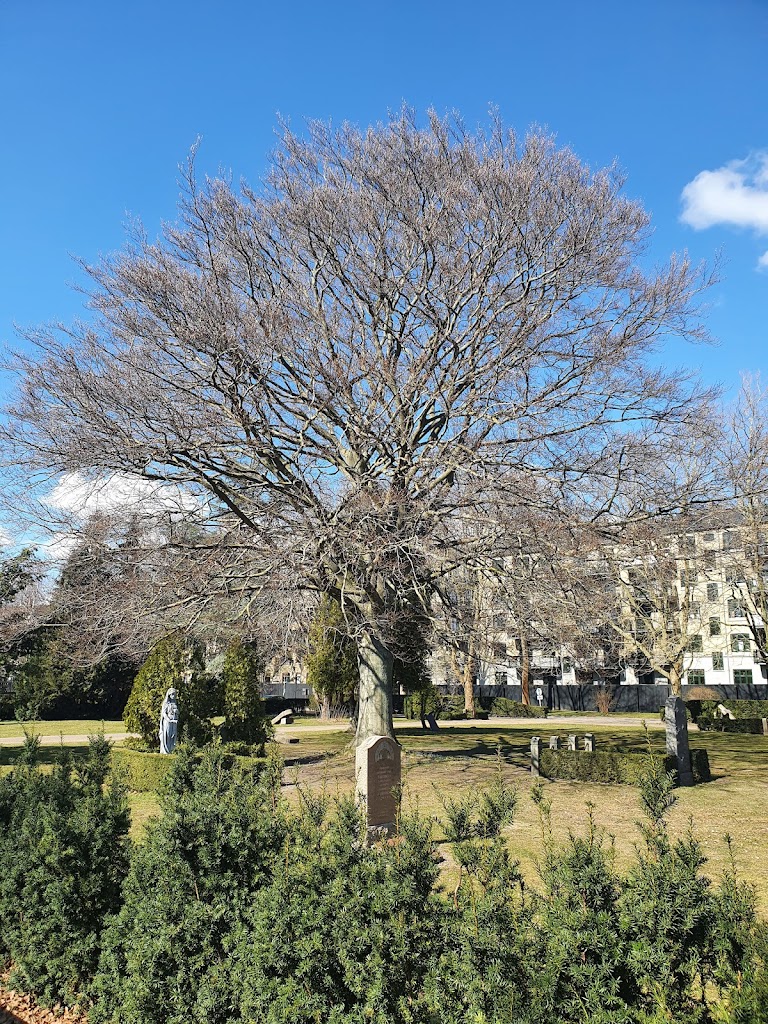 solbjerg-park-cemetery-1.jpeg