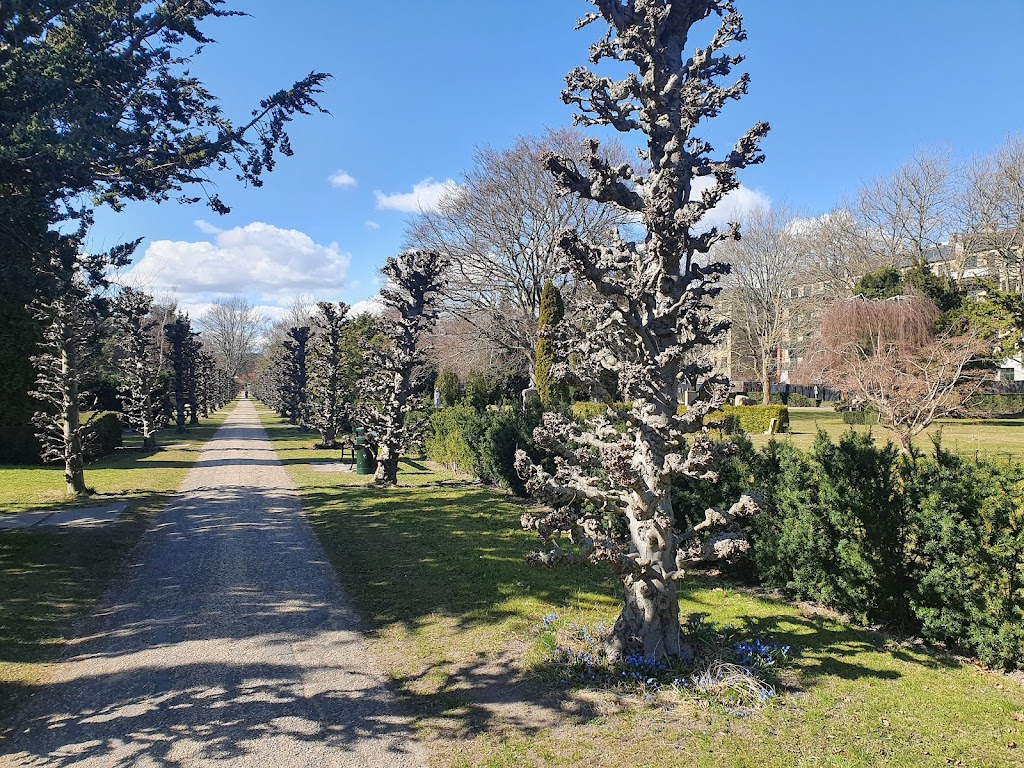 solbjerg-park-cemetery-5.jpeg