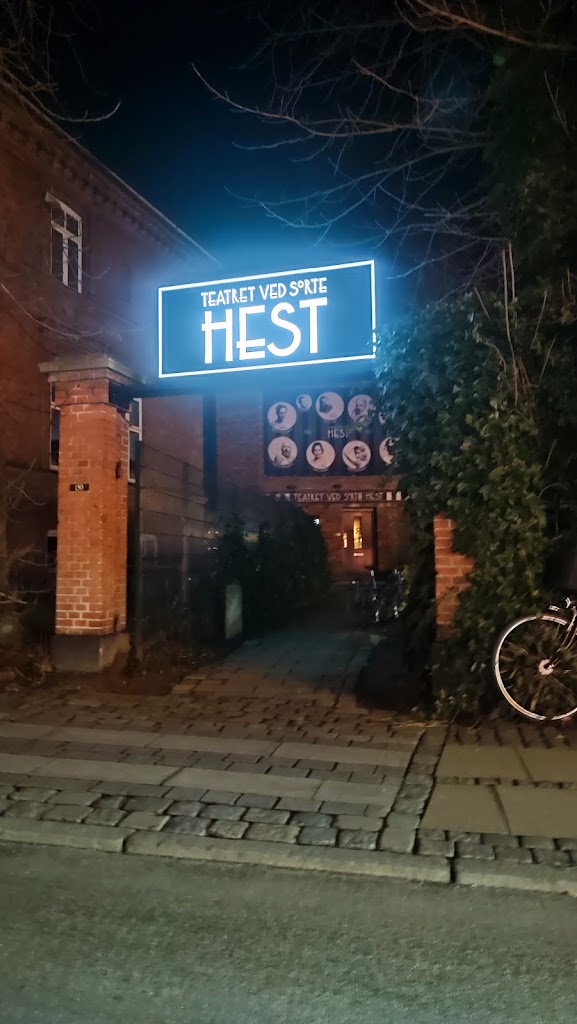 teatret-ved-srte-hest-17.jpeg