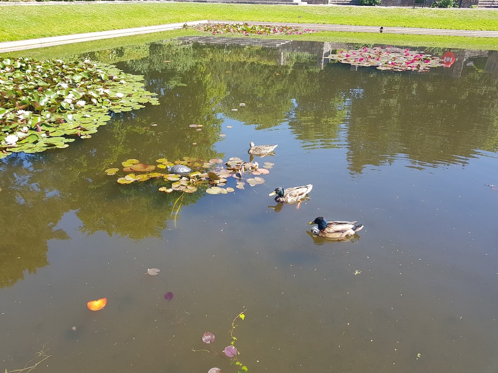 the-boats-in-frederiksberg-gardens-10.jpeg