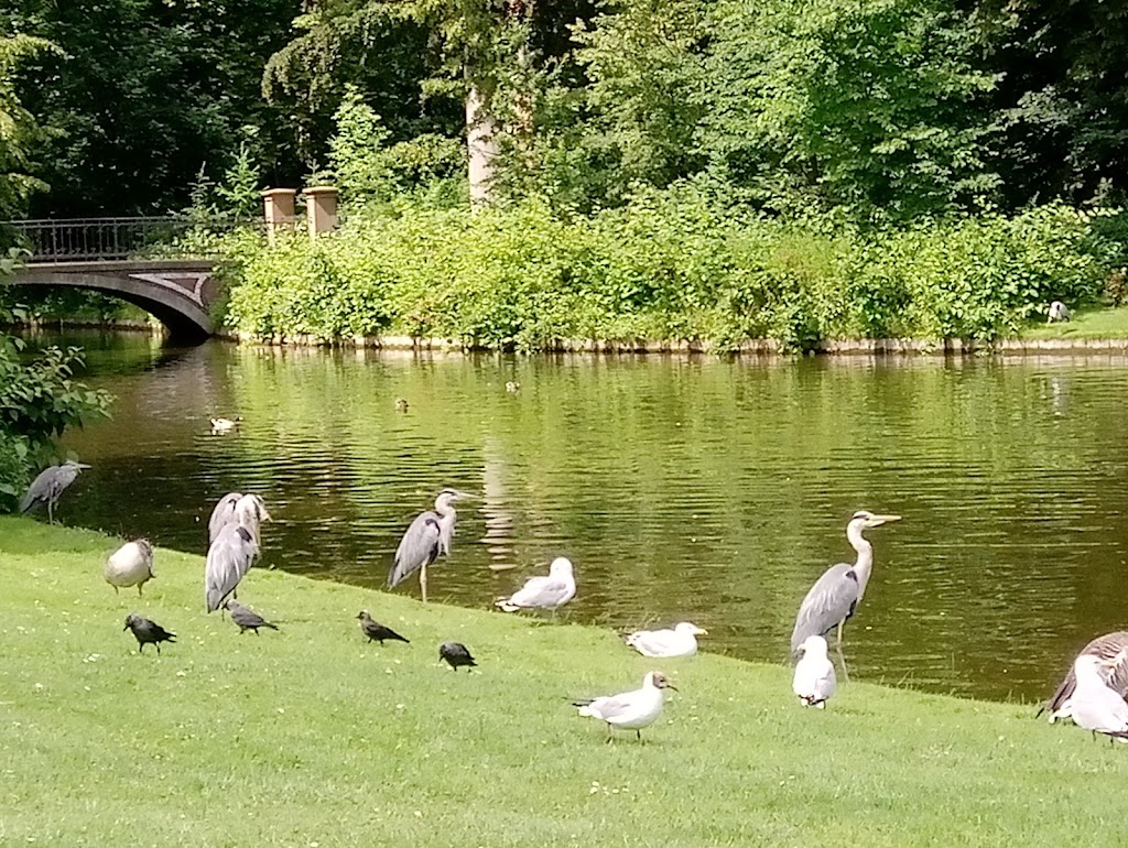 the-boats-in-frederiksberg-gardens-12.jpeg