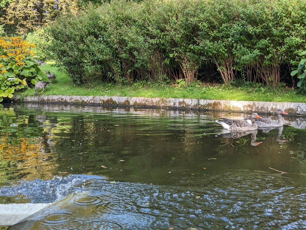 the-boats-in-frederiksberg-gardens-6.jpeg