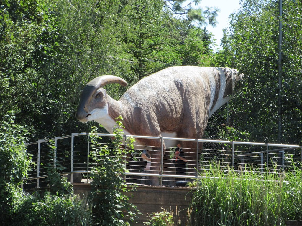 viewpoint-to-the-zoos-elephants-10.jpeg