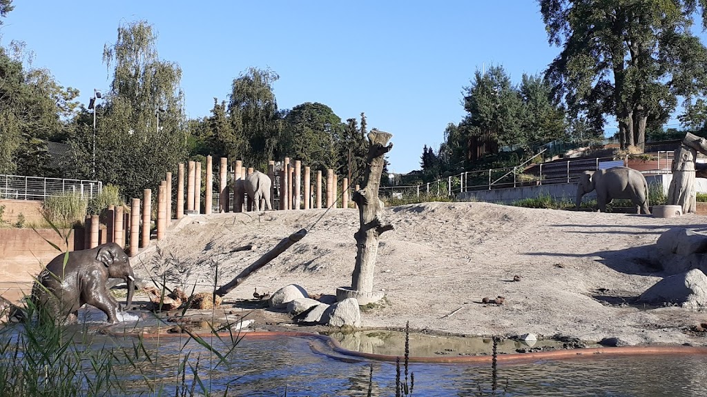 viewpoint-to-the-zoos-elephants-14.jpeg