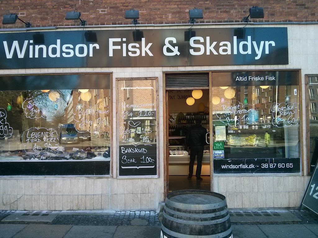 windsor-fisk-3.jpeg