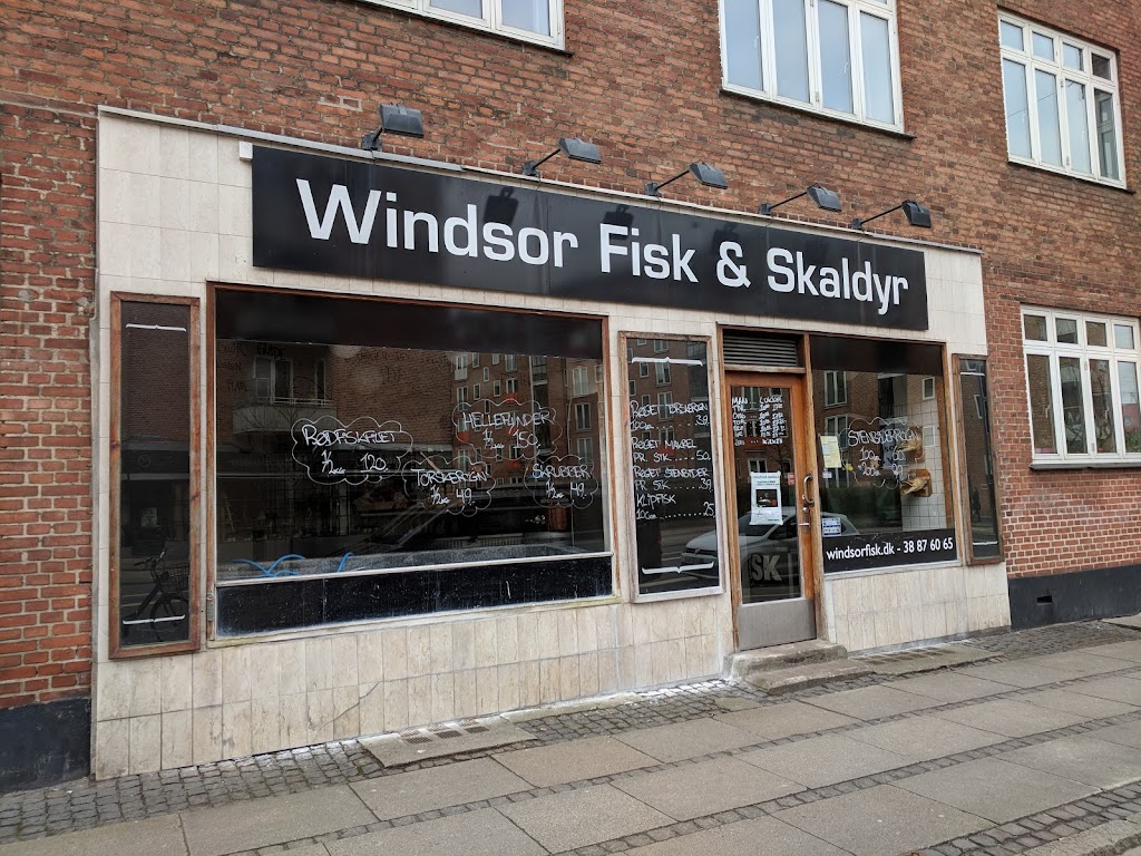 windsor-fisk-5.jpeg