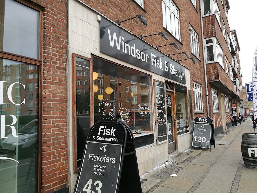 windsor-fisk-7.jpeg