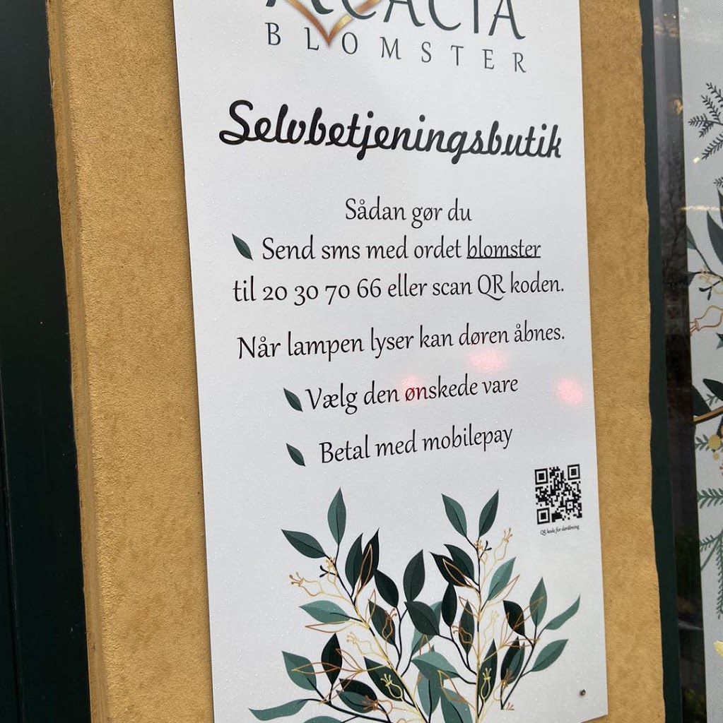 acacia-blomster-17.jpeg