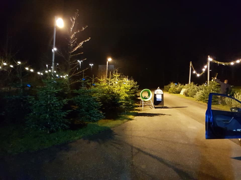 fjordgaardens-juletraessalg-frederikssund-1.jpeg