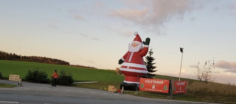 fjordgaardens-juletraessalg-frederikssund-2.jpeg