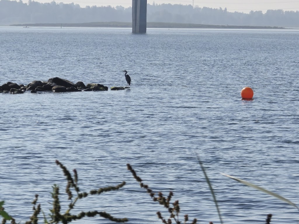 frederikssund-vinterbader-badebro-2.jpeg