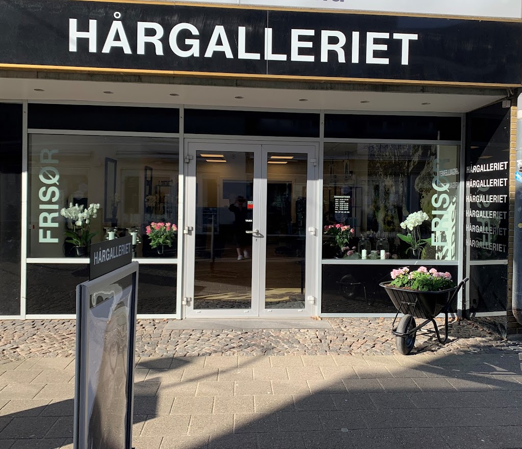 hargalleriet-0.jpeg