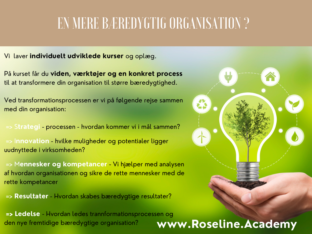 roseline-academy-11.jpeg