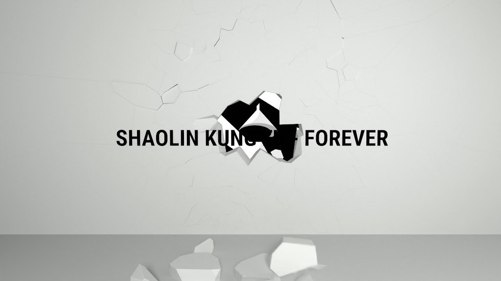 shaolin-kung-fu-club-0.jpeg