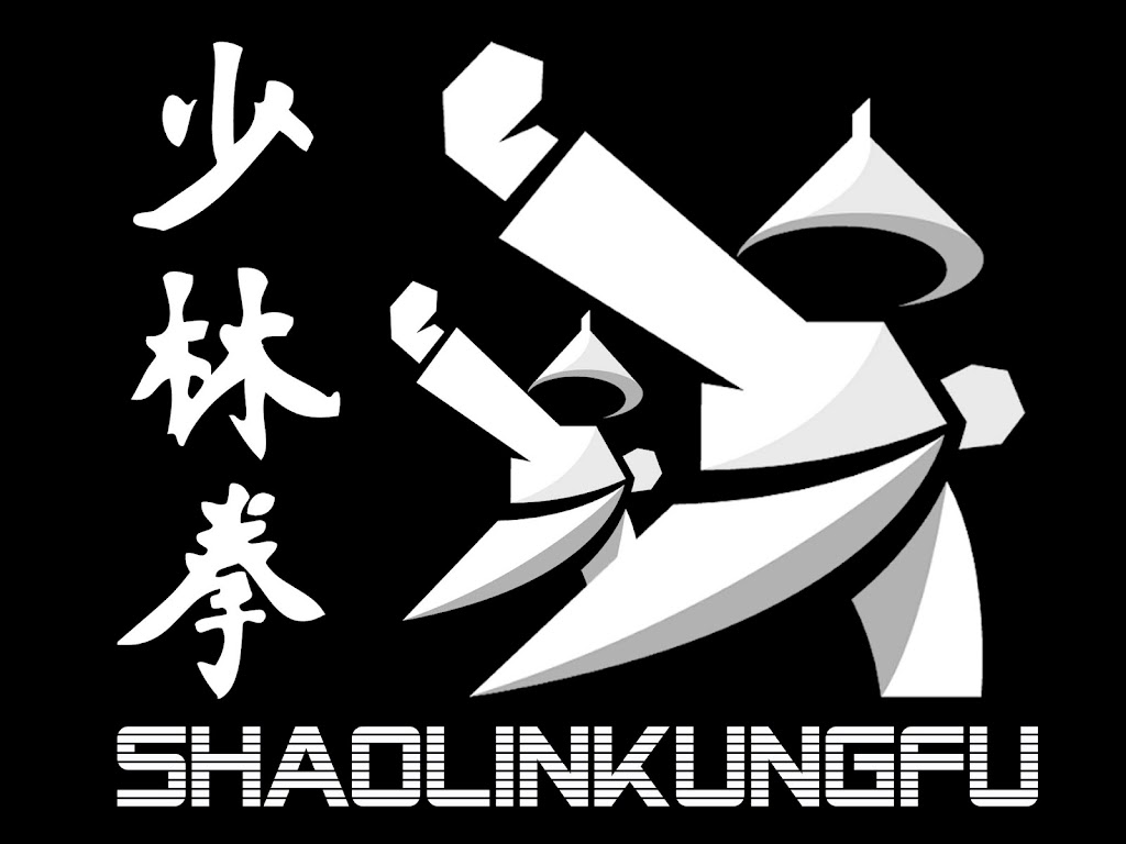 shaolin-kung-fu-club-4.jpeg