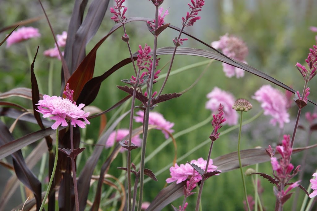 bed-and-breakfast-gardening-toftegaard-6.jpeg