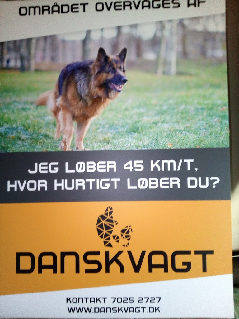 dansk-vagt-11.jpeg