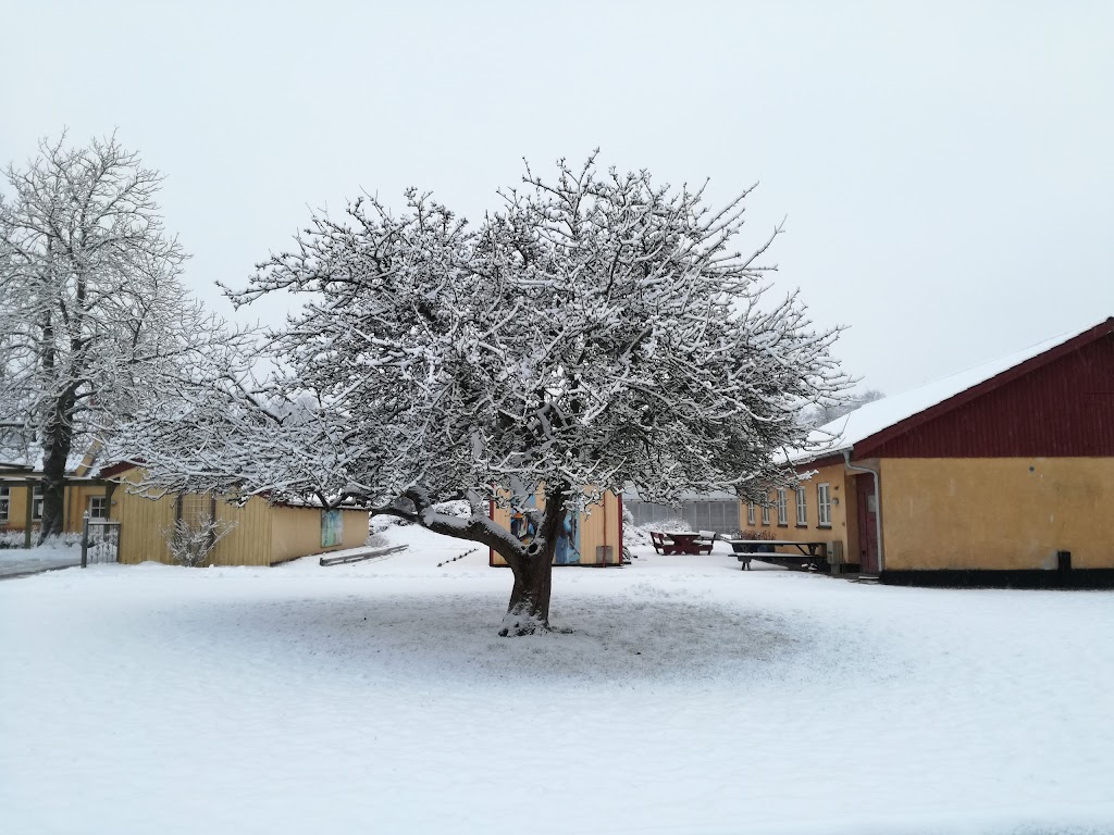 fgu-midt-og-ostsjaelland-klemmenstrupgard-selvej-inst-0.jpeg