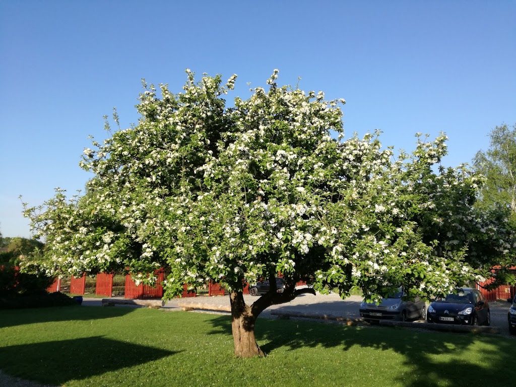 fgu-midt-og-ostsjaelland-klemmenstrupgard-selvej-inst-1.jpeg