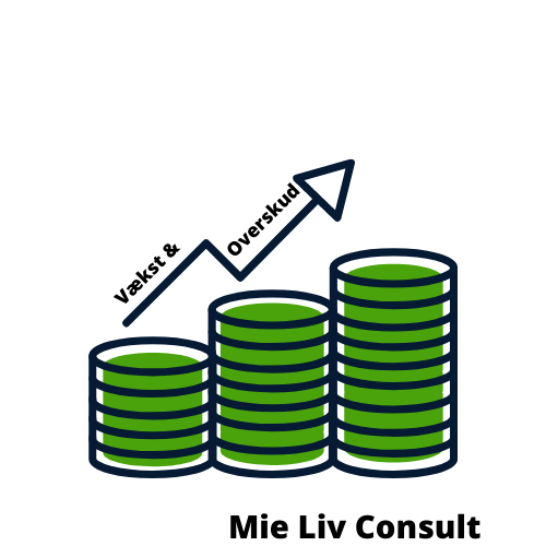 mie-liv-consult-4.jpeg