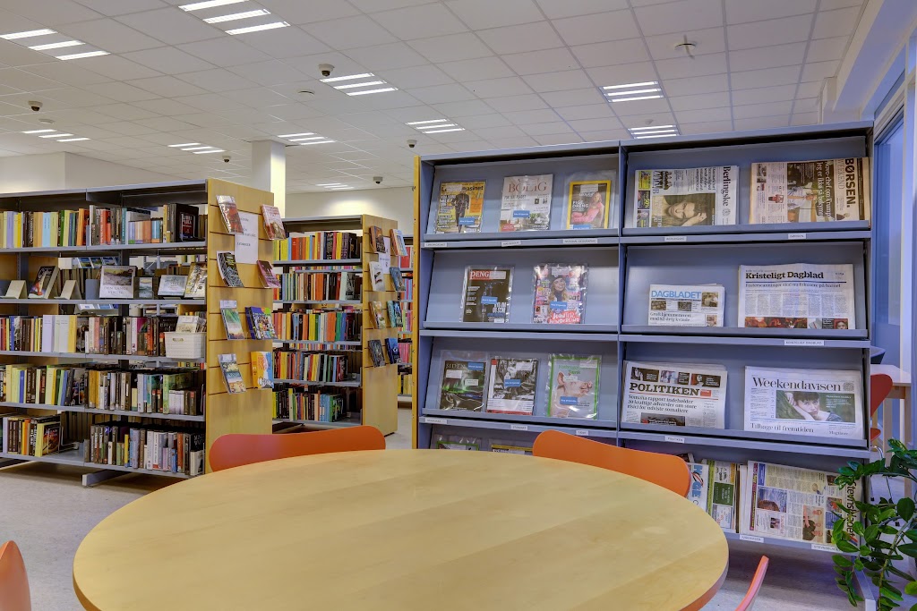 stroby-egede-library-11.jpeg