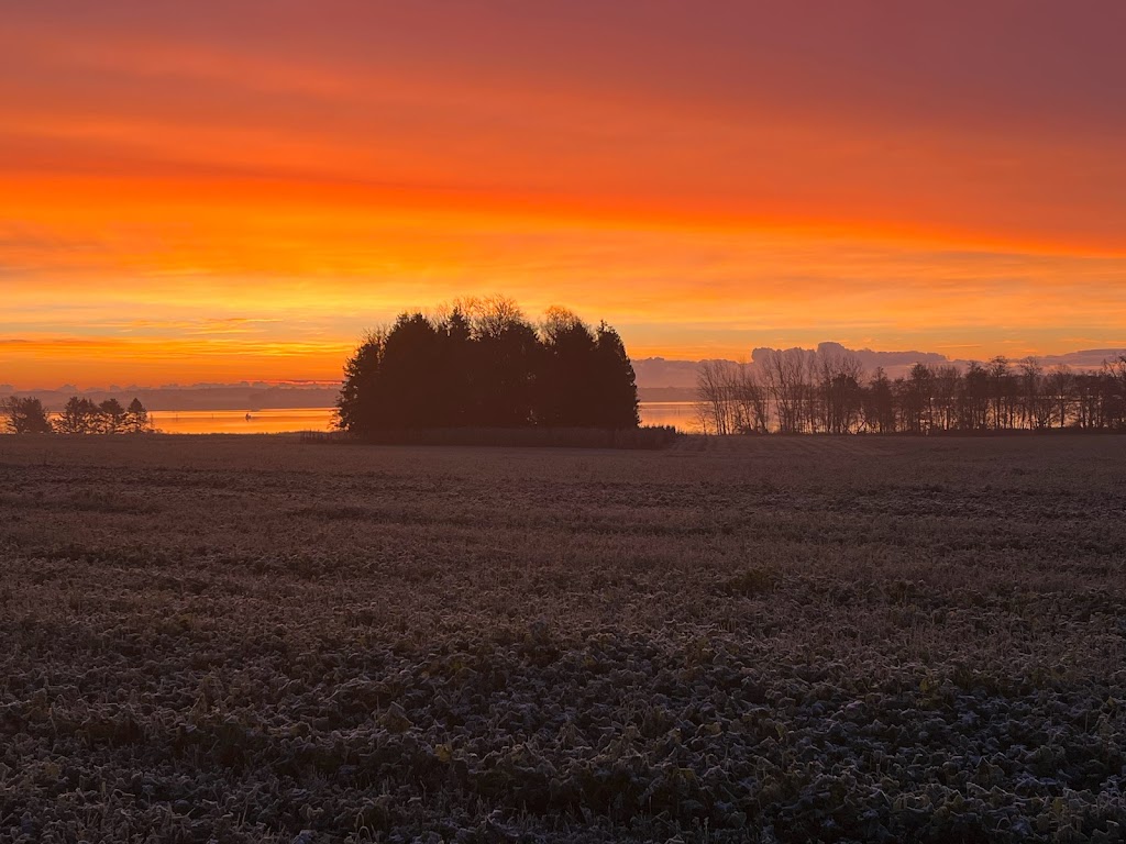 borgnakke-skoven-isbutik-8.jpeg