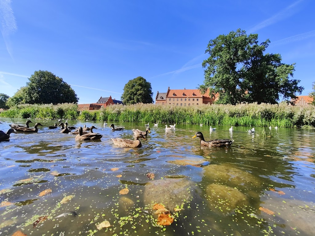 herlufsholm-park-1.jpeg